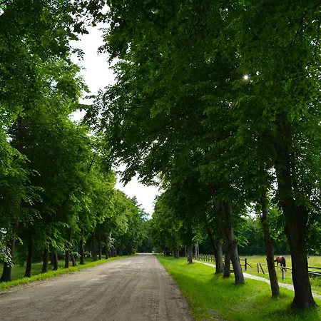 Gamtos Apsupty דירה *