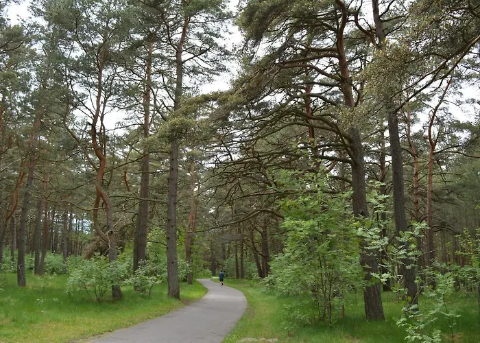 Gamtos Apsupty פלאנגה