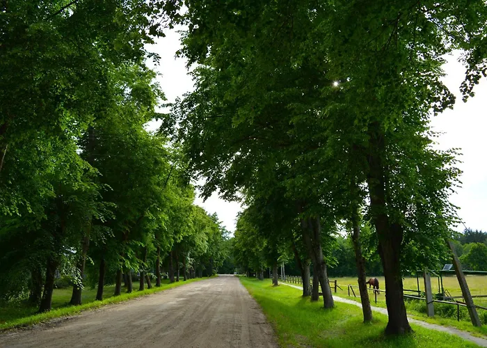 Gamtos Apsupty Daire *