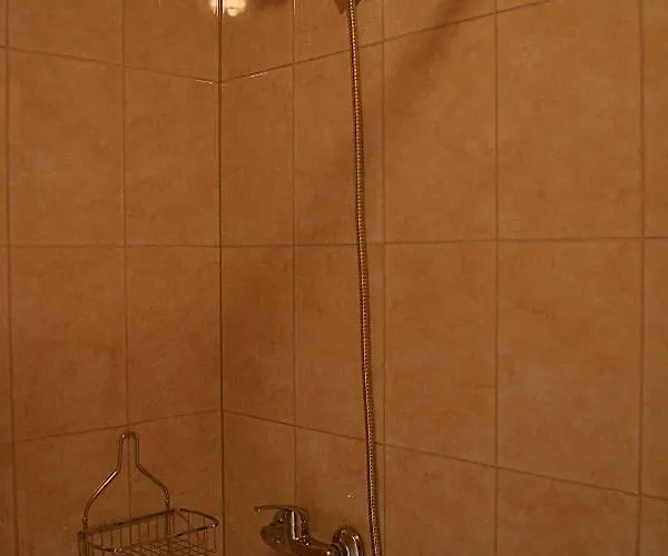 Gamtos Apsupty Daire