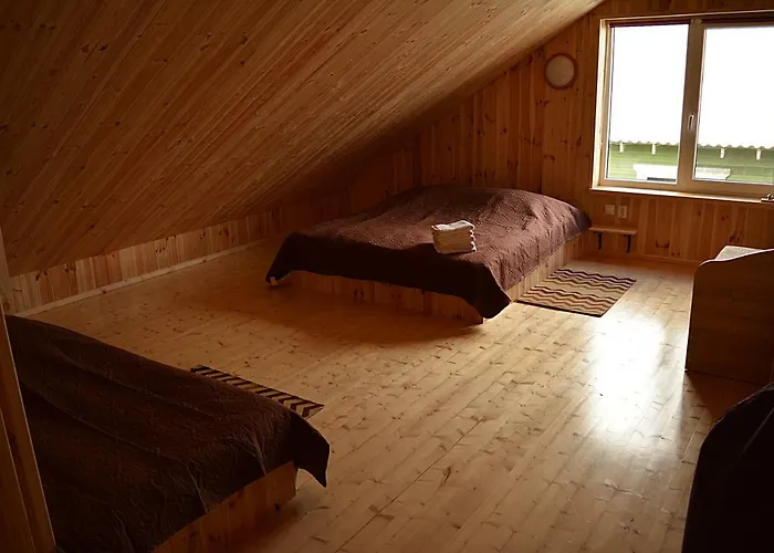 Gamtos Apsupty Daire Palanga