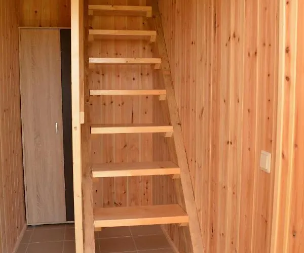 Gamtos Apsupty Daire Palanga